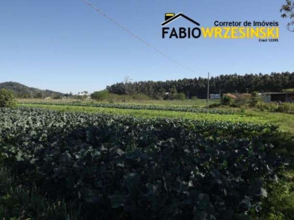 Imagem Terreno à Venda, 50.000 m² em Barra Itapocú - Araquari Imagem Terreno à Venda, 50.000 m² em Barra Itapocú - Araquari