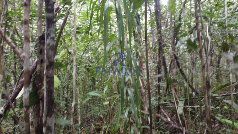 Imagem Fazenda à Venda, 20.000 m² em Barra Do Pojuca - Camaçari Imagem Fazenda à Venda, 20.000 m² em Barra Do Pojuca - Camaçari