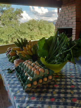 Imóvel com 3 Quartos à Venda, 20.000 m² em Fazenda Inhotim - Brumadinho