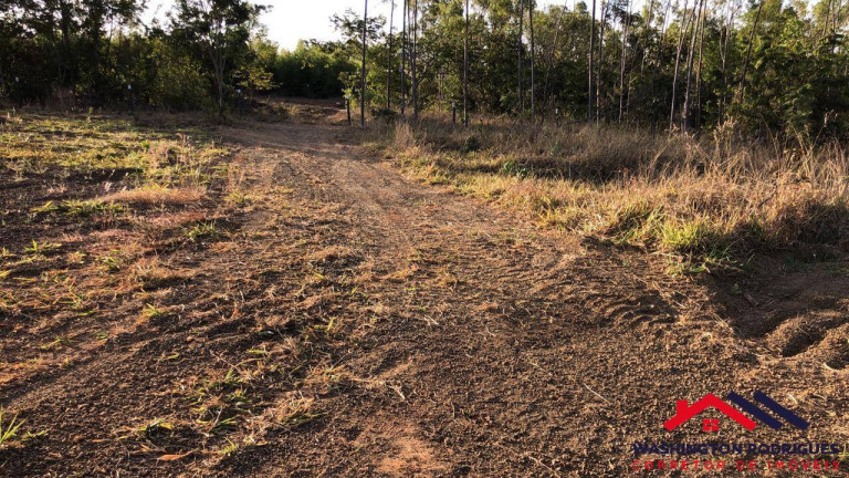 Imagem Chácara com 6 Quartos à Venda, 20.000 m² em Olhos D'água - Alexânia