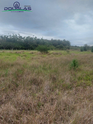 Imagem Imóvel Comercial à Venda, 20.000 m² em Viamão Imagem Imóvel Comercial à Venda, 20.000 m² em Viamão