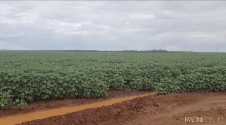 Imagem Fazenda à Venda, 34.060.000 m² em Zona Rural - Novo São Joaquim