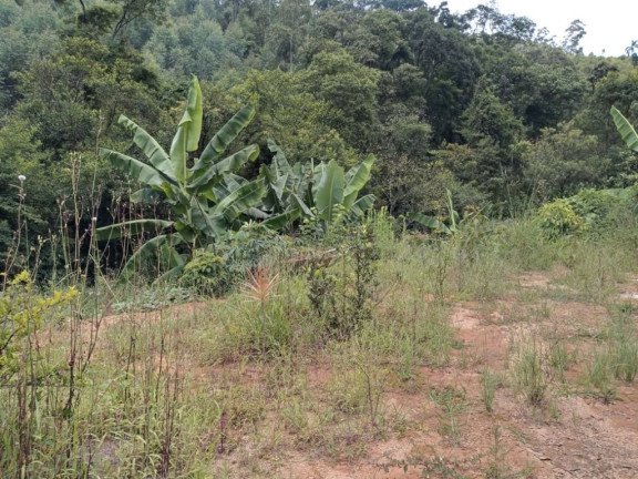 Imagem Chácara com 2 Quartos à Venda, 150 m² em Cocuera - Mogi Das Cruzes Imagem Chácara com 2 Quartos à Venda, 150 m² em Cocuera - Mogi Das Cruzes