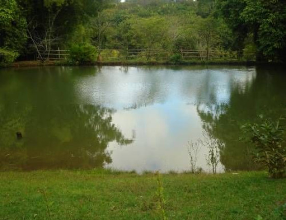 Imagem Imóvel com 5 Quartos à Venda, 300 m² em Fazenda Velha - Cesário Lange
