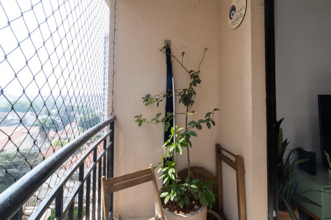 Imagem Apartamento com 3 Quartos à Venda, 80 m² em Vila Primavera - São Paulo