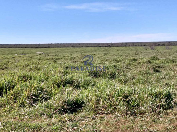 Imagem Fazenda à Venda, 17.799.000 m² em Zona Rural - Baianópolis Imagem Fazenda à Venda, 17.799.000 m² em Zona Rural - Baianópolis