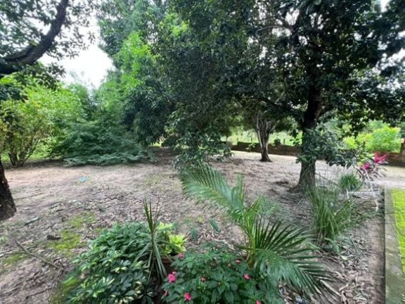 Imagem Imóvel com 5 Quartos à Venda, 33.394 m² em Verde Lar - Teresina