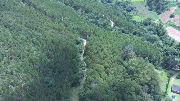 Imagem Imóvel com 3 Quartos à Venda, 500 m² em Rio Abaixo - Atibaia