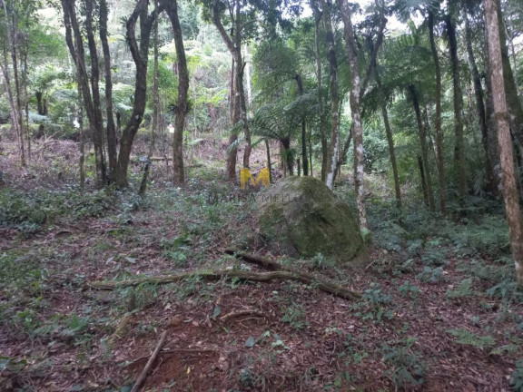 Imagem Chácara à Venda, em Recreio Da Serra - Piraquara Imagem Chácara à Venda, em Recreio Da Serra - Piraquara