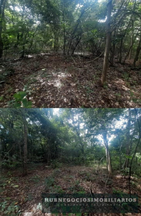 Imagem Terreno à Venda, 5.264 m² em Comunidade De Antonio Olinto - Montes Claros Imagem Terreno à Venda, 5.264 m² em Comunidade De Antonio Olinto - Montes Claros