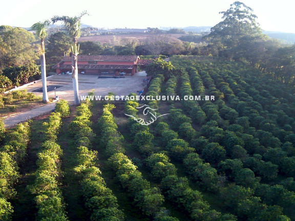 Imagem Chácara com 6 Quartos à Venda, 48.400 m² em Zona Rural - Morungaba