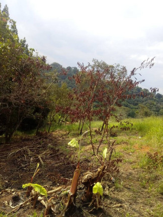 Imagem Terreno à Venda, 1.400 m² em Buquirinha Ii - São José Dos Campos Imagem Terreno à Venda, 1.400 m² em Buquirinha Ii - São José Dos Campos