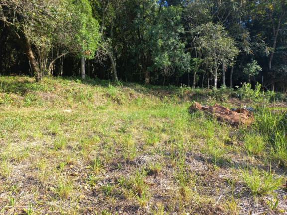 Imagem Terreno à Venda, 420 m² em Esmeralda - Santa Cruz Do Sul