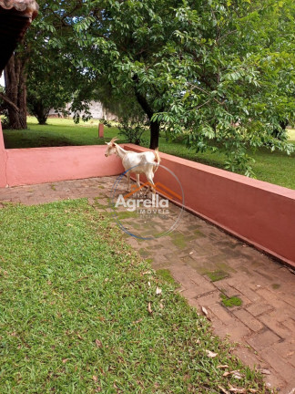 Imagem Imóvel com 4 Quartos à Venda, 280 m² em Chácara Ouro Preto - Mogi Guaçu Imagem Imóvel com 4 Quartos à Venda, 280 m² em Chácara Ouro Preto - Mogi Guaçu