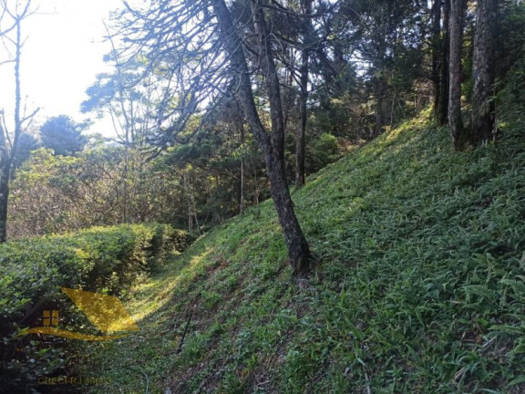 Imagem Chácara com 3 Quartos para Alugar, 150 m² em Theodoro - Nova Friburgo