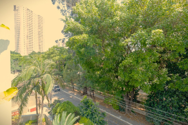Imagem Apartamento com 3 Quartos à Venda, 78 m² em Parque São Domingos - São Paulo