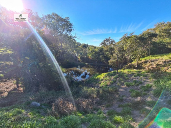 Chácara com 4 Quartos à Venda, 10.000 m² em Mailasqui - São Roque