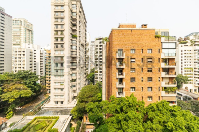 Imagem Imóvel com 3 Quartos para Alugar, 350 m² em Jardim Europa - São Paulo