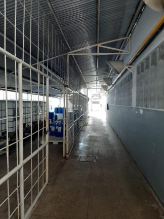 Imagem Galpão à Venda, 6.000 m² em Barra Do Ceará - Fortaleza