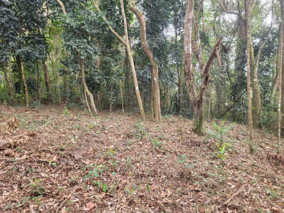 Imagem Chácara à Venda, 56 m² em Cachoeira Abaixo - Piracaia Imagem Chácara à Venda, 56 m² em Cachoeira Abaixo - Piracaia