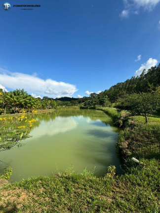Imagem Chácara com 6 Quartos à Venda, 55.000 m² em Belo Oriente