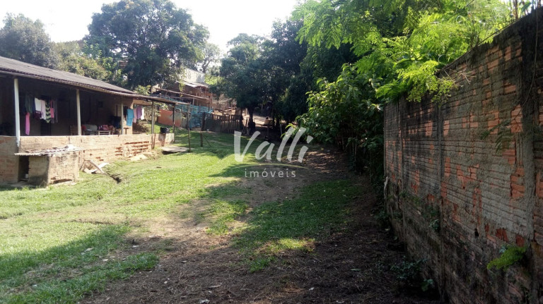 Imagem Imóvel com 2 Quartos à Venda, 1.200 m² em Chácara Pinheirinhos - Santa Bárbara Doeste Imagem Imóvel com 2 Quartos à Venda, 1.200 m² em Chácara Pinheirinhos - Santa Bárbara Doeste