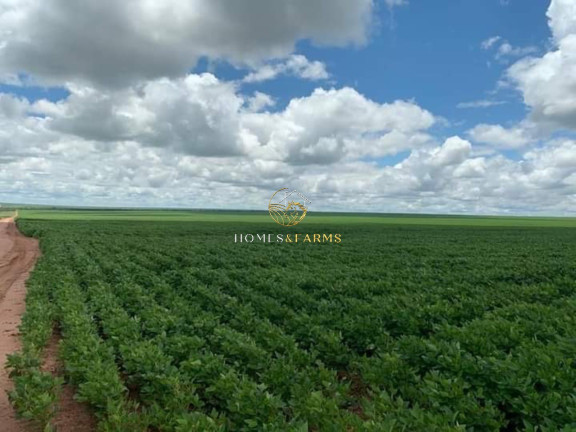 Imagem Imóvel com 3 Quartos à Venda, 16.943 m² em Zona Rural - Primavera Do Leste Imagem Imóvel com 3 Quartos à Venda, 16.943 m² em Zona Rural - Primavera Do Leste