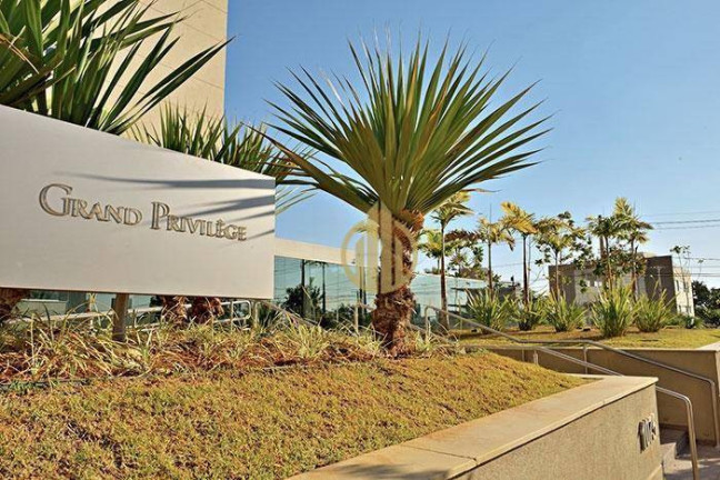 Imagem Apartamento com 4 Quartos à Venda, 320 m² em Jardim Botânico - Ribeirão Preto Imagem Apartamento com 4 Quartos à Venda, 320 m² em Jardim Botânico - Ribeirão Preto