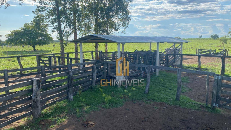 Imagem Fazenda à Venda, 4.017.000 m² em Assentamento  - Ribeirão Cascalheira
