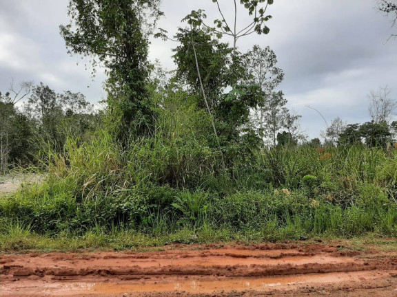 Terreno à Venda, 360 m² em Morro Do Algodão - Caraguatatuba