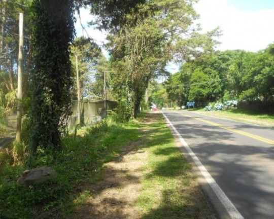 Imagem Terreno à Venda, 2.500 m² em Pia - Nova Petrópolis Imagem Terreno à Venda, 2.500 m² em Pia - Nova Petrópolis