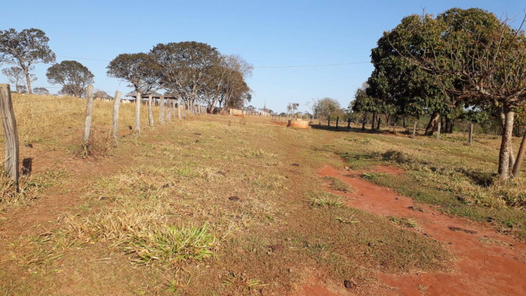 Imagem Fazenda à Venda, 314 m² em Zona Rural - Ituiutaba Imagem Fazenda à Venda, 314 m² em Zona Rural - Ituiutaba