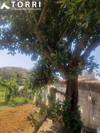 Imagem Imóvel com 3 Quartos à Venda, 220 m² em Centro - Araçoiaba Da Serra Imagem Imóvel com 3 Quartos à Venda, 220 m² em Centro - Araçoiaba Da Serra