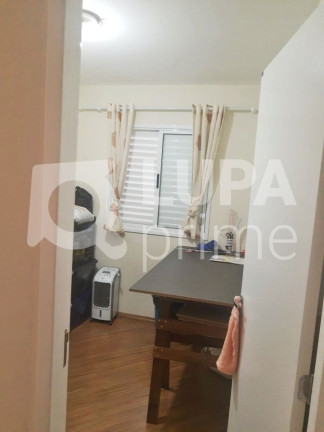 Imagem Apartamento com 3 Quartos à Venda, 65 m² em Vila Maria Alta - São Paulo Imagem Apartamento com 3 Quartos à Venda, 65 m² em Vila Maria Alta - São Paulo