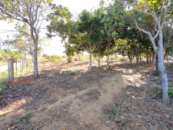 Imagem Chácara à Venda, 5.000 m² em Parque Las Vegas - Bela Vista De Goiás Imagem Chácara à Venda, 5.000 m² em Parque Las Vegas - Bela Vista De Goiás