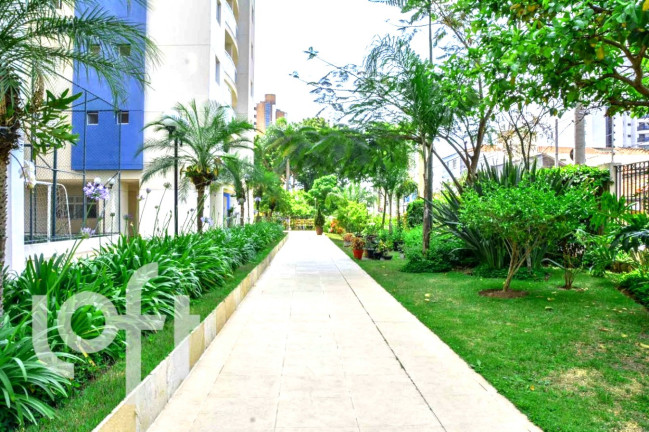 Imagem Apartamento com 3 Quartos à Venda, 83 m² em Anália Franco - São Paulo