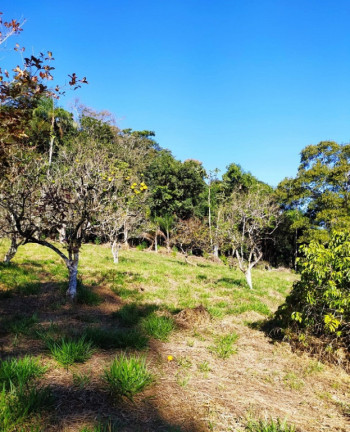 Imagem Imóvel à Venda, em São José Dos Campos Imagem Imóvel à Venda, em São José Dos Campos