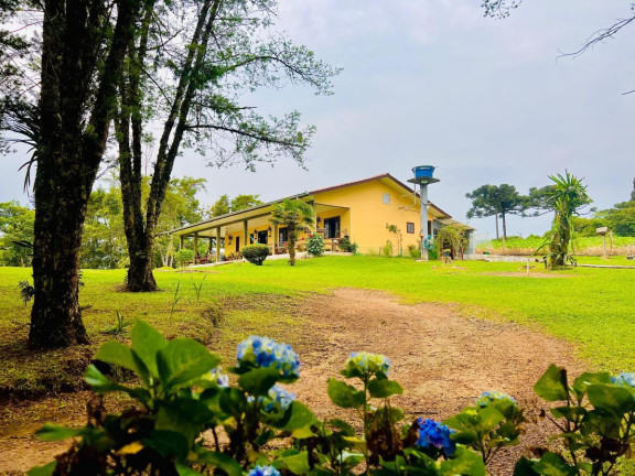 Imagem Chácara à Venda, 5.400 m² em área De Quitandinha - Quitandinha Imagem Chácara à Venda, 5.400 m² em área De Quitandinha - Quitandinha