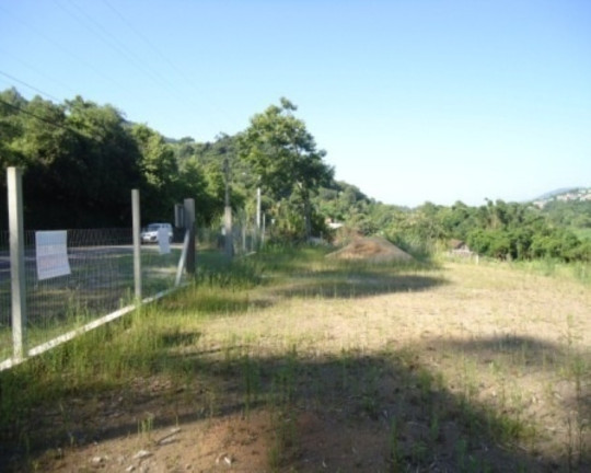 Imagem Terreno à Venda, 2.440 m² em Picada Café - Picada Café