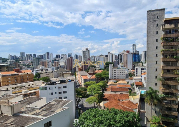 Imagem Imóvel com 3 Quartos à Venda, 98 m² em Santo Antônio - Belo Horizonte