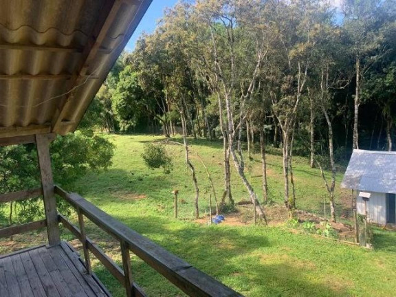 Imagem Imóvel com 3 Quartos à Venda, 32.600 m² em Colônia Retiro - Mandirituba