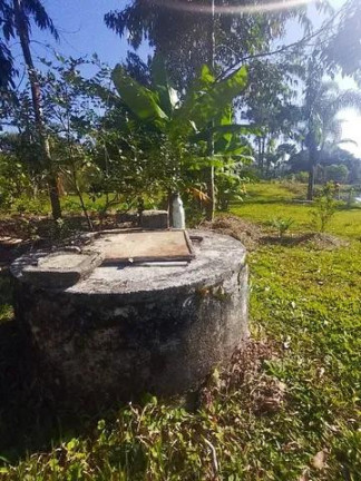 Imagem Imóvel com 7 Quartos à Venda, 32.000 m² em Centro - Tijucas Do Sul
