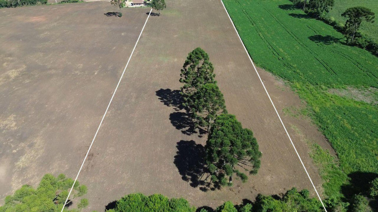 Imagem Fazenda à Venda, 19.400 m² em Tranqueira - Almirante Tamandare Imagem Fazenda à Venda, 19.400 m² em Tranqueira - Almirante Tamandare