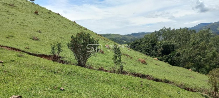 Imagem Imóvel à Venda, 150 m² em Ponte Nova - Cunha Imagem Imóvel à Venda, 150 m² em Ponte Nova - Cunha