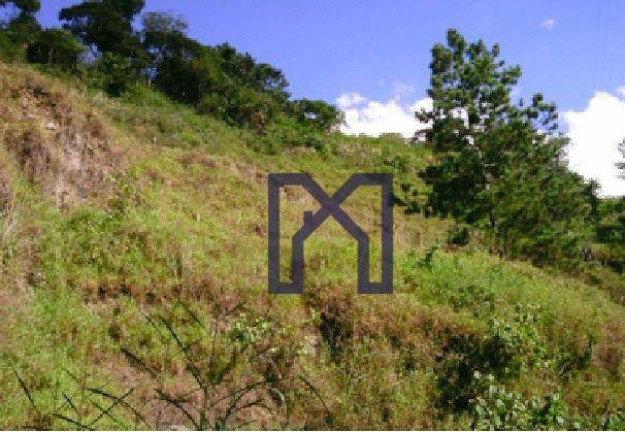 Imagem Fazenda à Venda, 570.000 m² em Vila Maria - Piranguçu