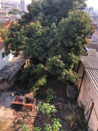 Imagem Terreno à Venda, 288 m² em Vila Maria Alta - São Paulo