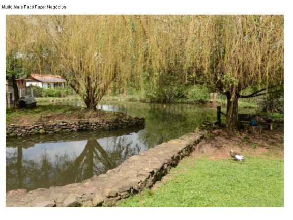 Imagem Casa com 3 Quartos à Venda, 400 m² em Linha Brasil - Nova Petrópolis Imagem Casa com 3 Quartos à Venda, 400 m² em Linha Brasil - Nova Petrópolis