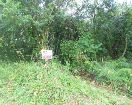 Imagem Terreno à Venda, 900 m² em Germânia - Nova Petrópolis Imagem Terreno à Venda, 900 m² em Germânia - Nova Petrópolis