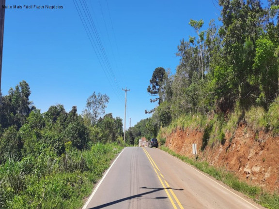 Imagem Terreno à Venda, 546 m² em Linha Olinda - Nova Petrópolis Imagem Terreno à Venda, 546 m² em Linha Olinda - Nova Petrópolis