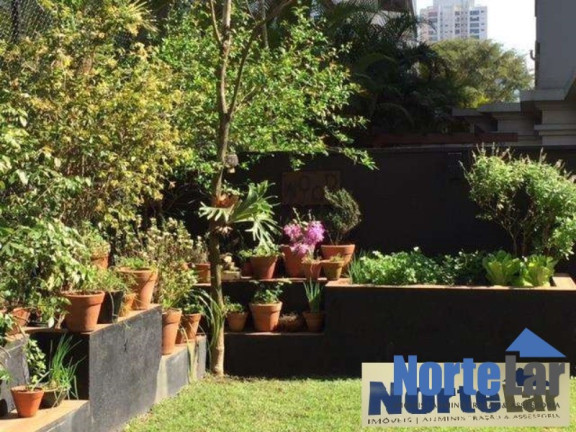 Imagem Apartamento com 3 Quartos à Venda, 351 m² em Vila Cruzeiro - São Paulo Imagem Apartamento com 3 Quartos à Venda, 351 m² em Vila Cruzeiro - São Paulo